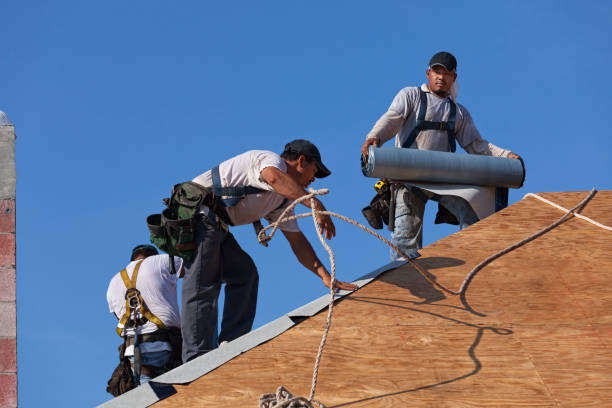 Best Roof Inspection Near Me  in Bellevue, IL