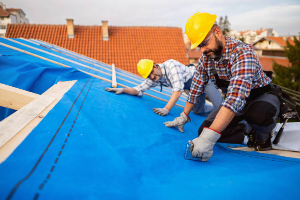 Best Roof Repair Services  in Bellevue, IL