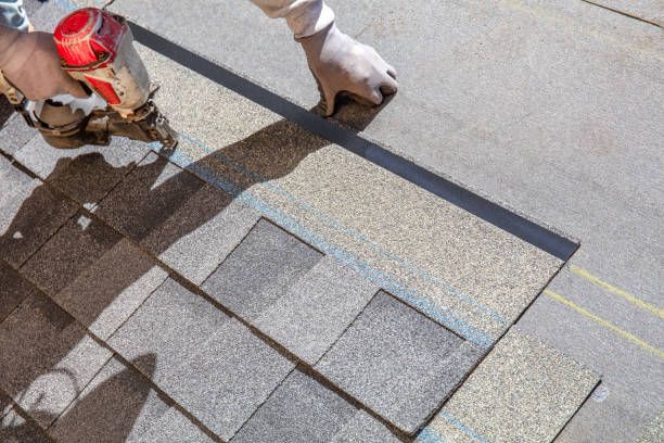 Best Roof Gutter Cleaning  in Bellevue, IL